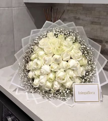 White Elegance