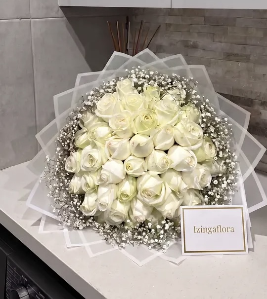 White Elegance